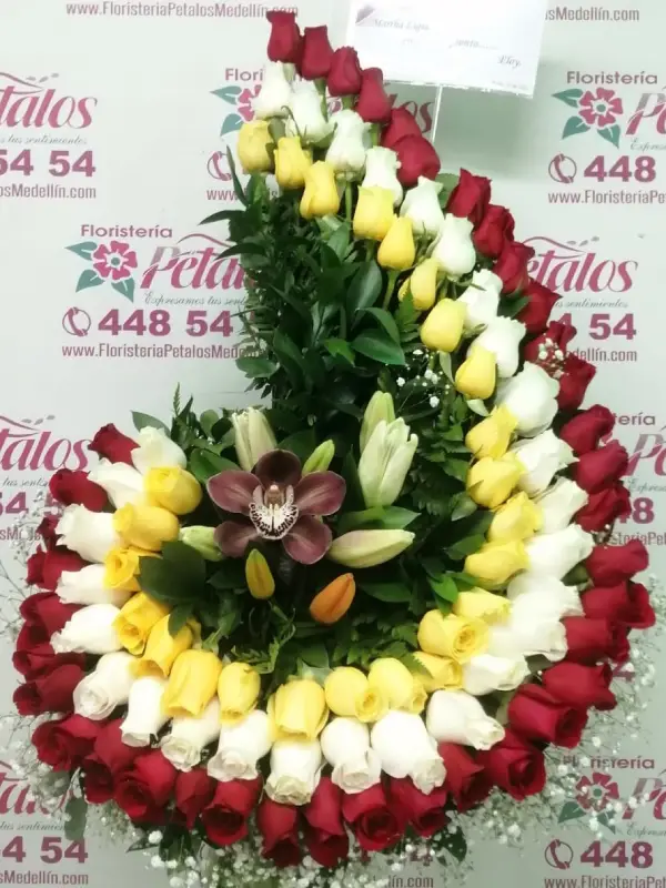 Pétalos 017